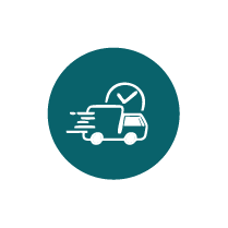 Fast Insured Shipping